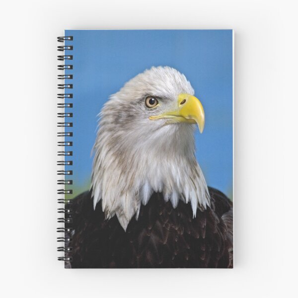 Item preview, Bald Eagle designed and sold by Jerry Walter.