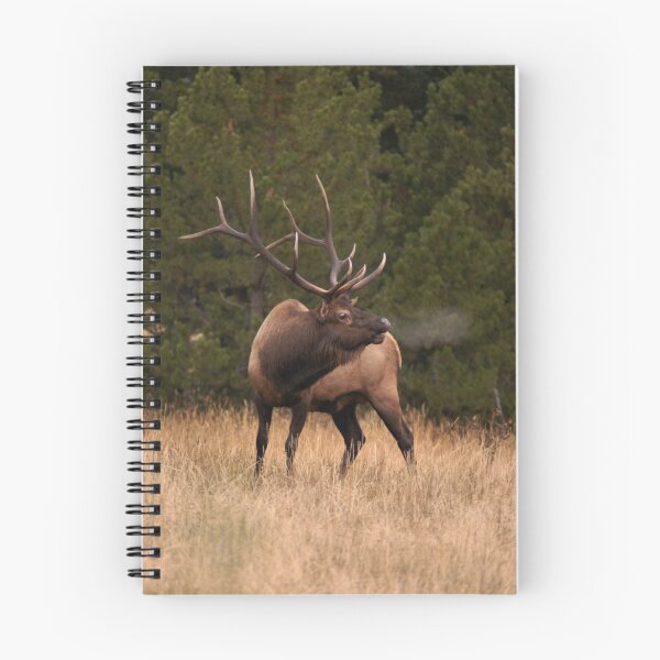 Item preview, Raw Power designed and sold by John De Bord Photography.
