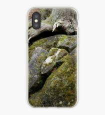 On the Road to Bree iPhone Case