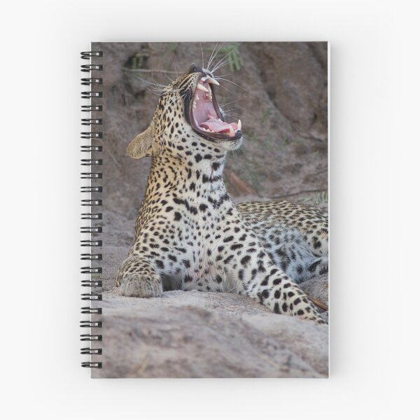 Item preview, Teeth of the leopard designed and sold by Yves Roumazeilles (Wild Focus).