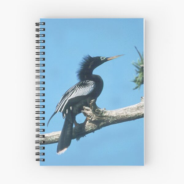 Item preview, Anhinga Out on a Limb designed and sold by WTBird.