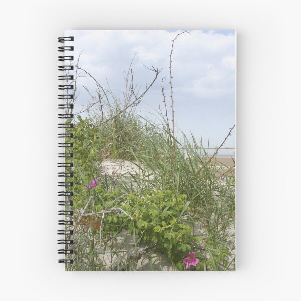 Aperçu de l'œuvre Tall Grass créée et vendue par M.C. O'Connor.