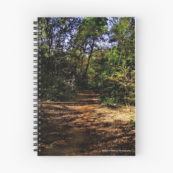 Item preview, Beech Walk designed and sold by David's Photoshop.