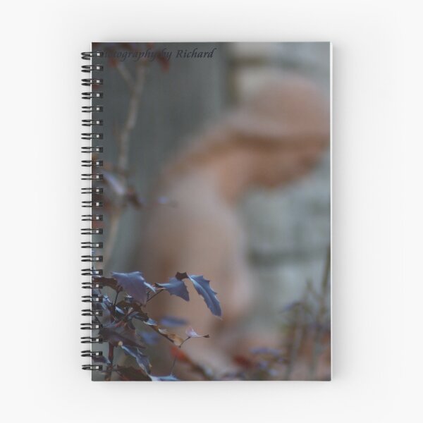 Item preview, Lady of the Park designed and sold by Richard Skoropat.