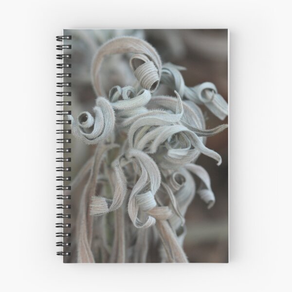 Item preview, Ringlets designed and sold by ElyseFradkin.