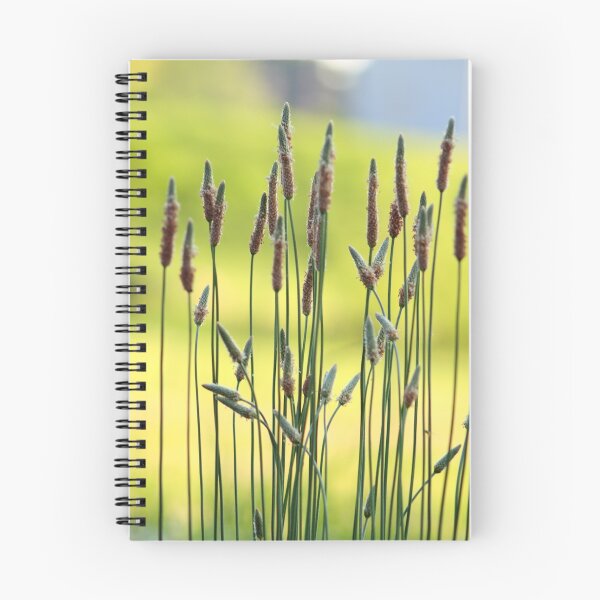 Item preview, Weeds in a Field designed and sold by Richard Skoropat.