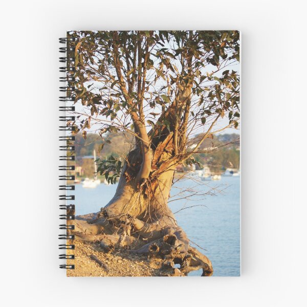 Item preview, Lone Eucalyptus Tree designed and sold by Rochelle Buckley.