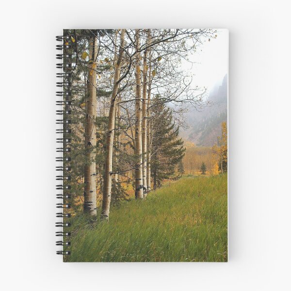 Item preview, Aspen Trees on a Misty Foggy Day in Fall designed and sold by Robert W. Spath II.