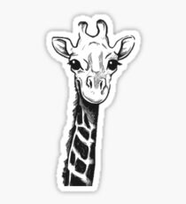 Giraffe t-shirt cute sabana africa Sticker