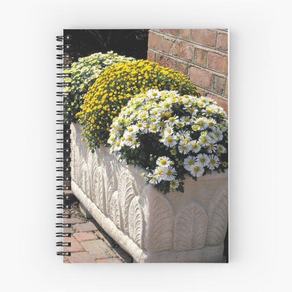 Item preview, Chrysanthemum Trio designed and sold by Betty Mackey.