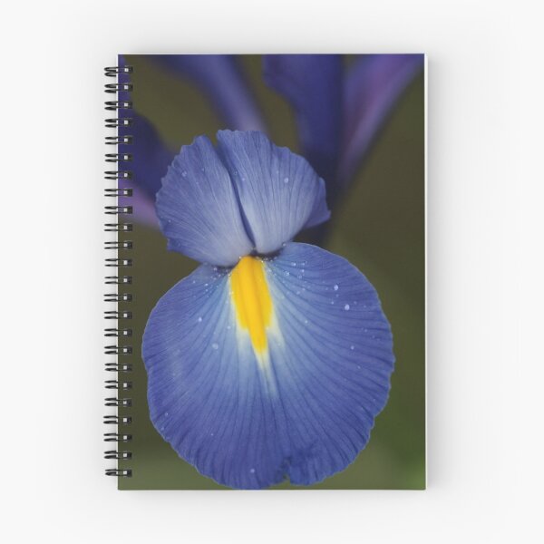 Aperçu de l'œuvre Iris I créée et vendue par EverChanging1.