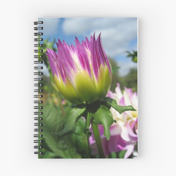 Item preview, Budding Beauty designed and sold by Orla Cahill Photography.