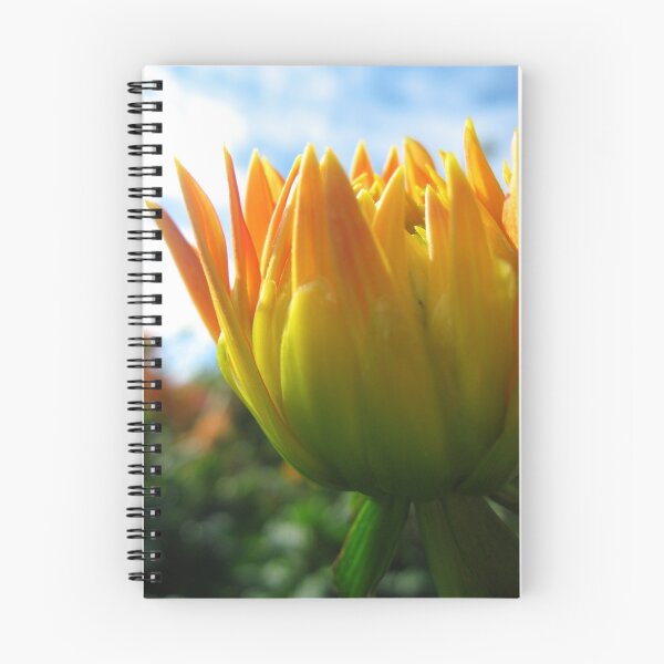 Item preview, Budding Dahlia designed and sold by Orla Cahill Photography.