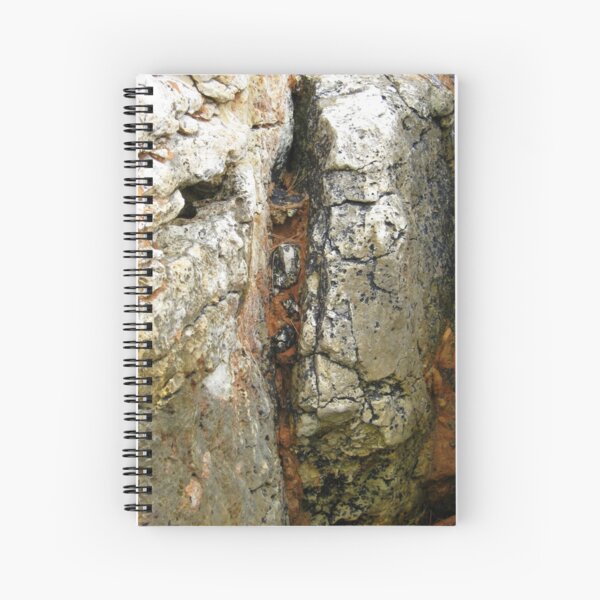 MASKS IN THE ISLAND ROCKS Spiral Notebook