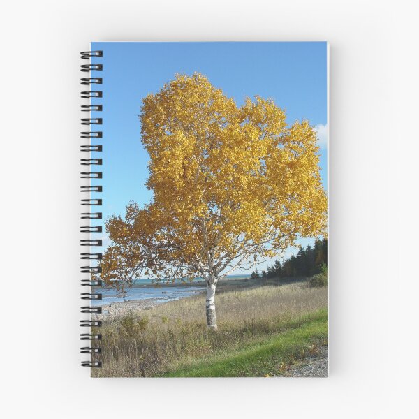 Item preview, Can it Get Any Better Than This? designed and sold by enchantedImages.