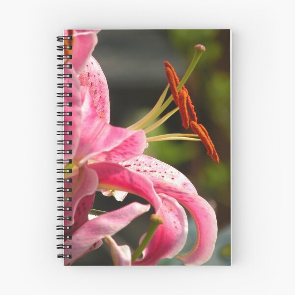 Item preview, Pink Lily designed and sold by Nokie.