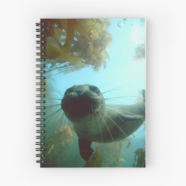 Item preview, Harbor Seal at Depth designed and sold by Walt Conklin.