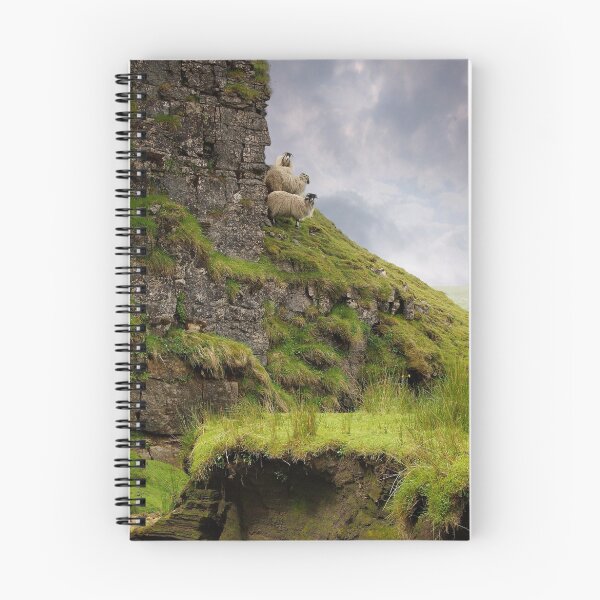 Item preview, We Three Sheep designed and sold by Andrew Leighton.