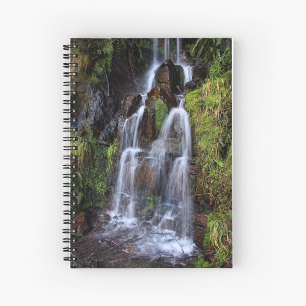 Spiral Notebook