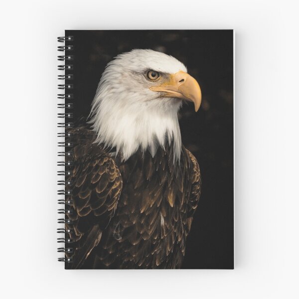 Item preview, Bald eagle portrait designed and sold by Carole Stevens.