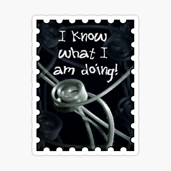 I Know What I Am Doing Sticker
