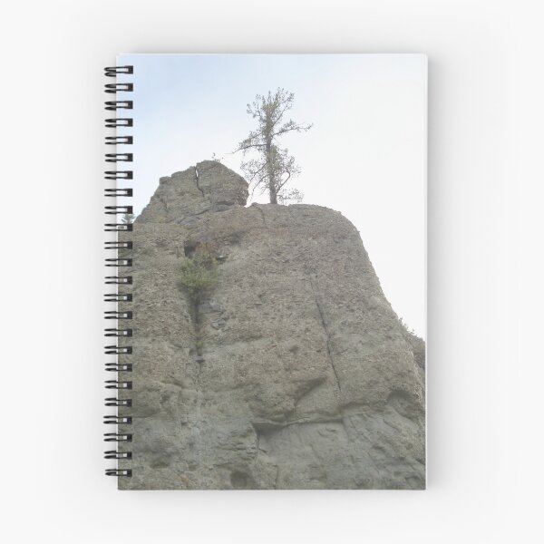 Item preview, Tree on Sandstone Outcrop designed and sold by May Lattanzio.