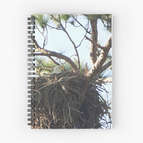 Item preview, Nesting Eagle designed and sold by Bob Hardy.