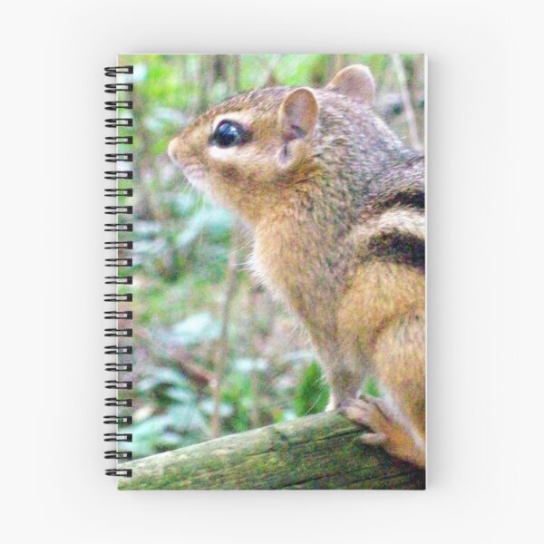 Item preview, Mr Chipmunk  designed and sold by Michelle BarlondSmith.
