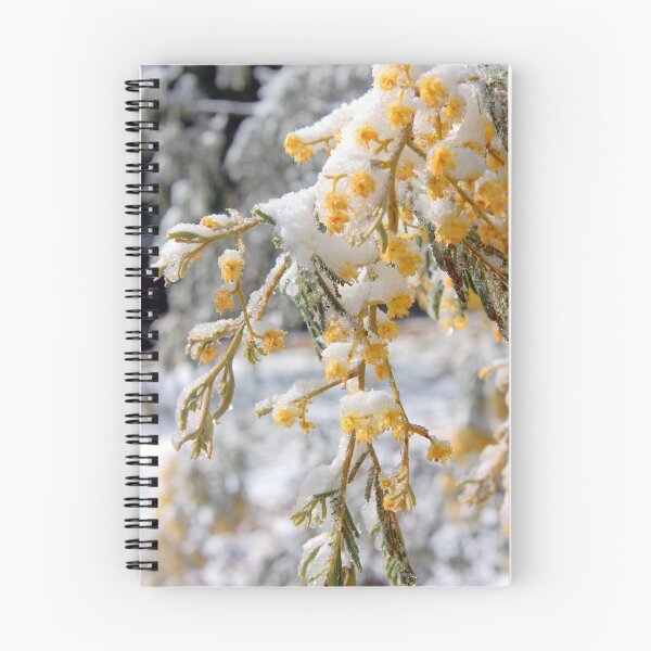 Item preview, Wattle Snow designed and sold by stormysky.