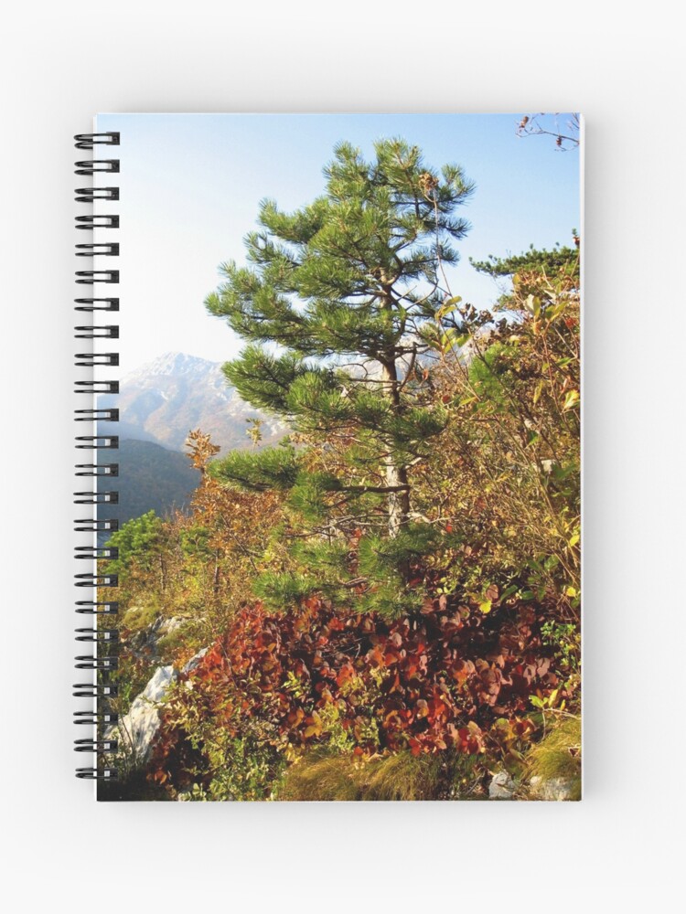 Thumbnail 1 of 3, Journal, RED AND GREEN designed and sold by TatianaMichaela.