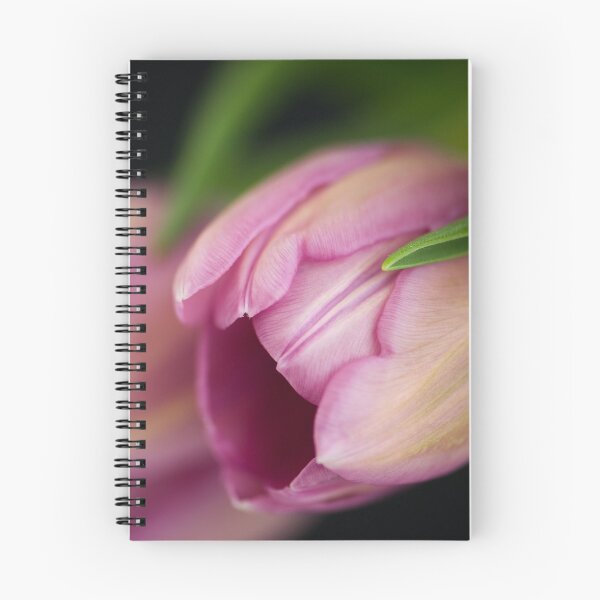Item preview, Sensuous designed and sold by Extraordinary Light.
