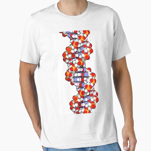 DNA 3D structure