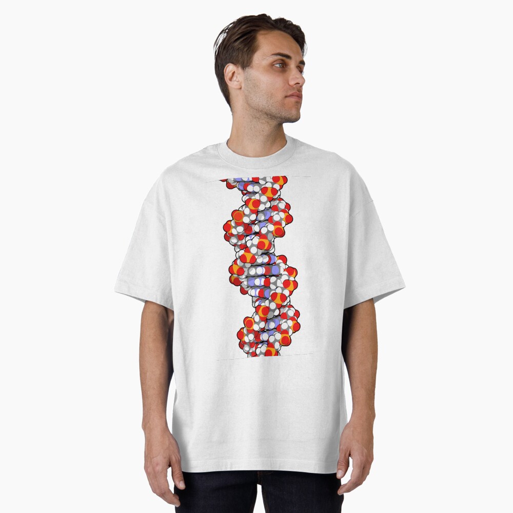 DNA 3D structure