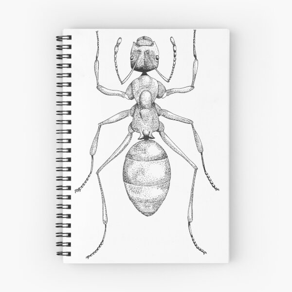 Item preview, Acanthomyrmex designed and sold by Pete Janes.