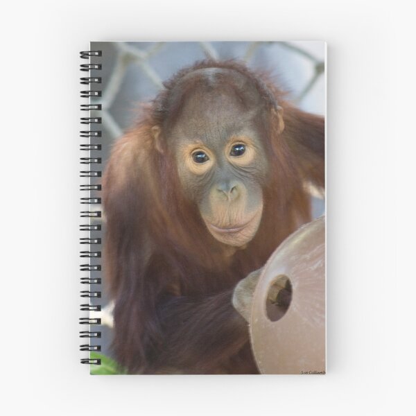 Item preview, Hello designed and sold by Sue  Cullumber.