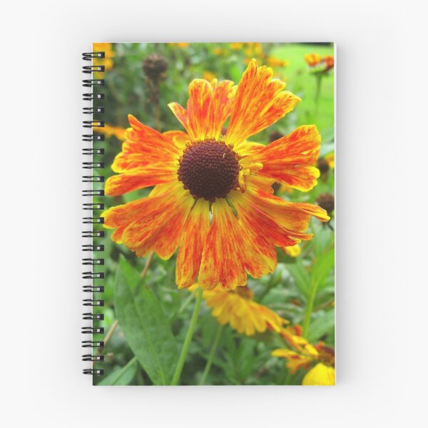 Item preview, Painterly Petals designed and sold by Orla Cahill Photography.