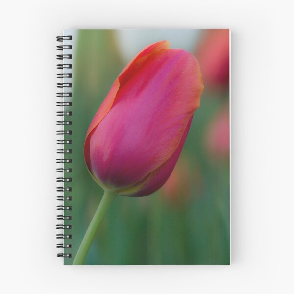 Item preview, Tulip designed and sold by Ashraf Saleh.