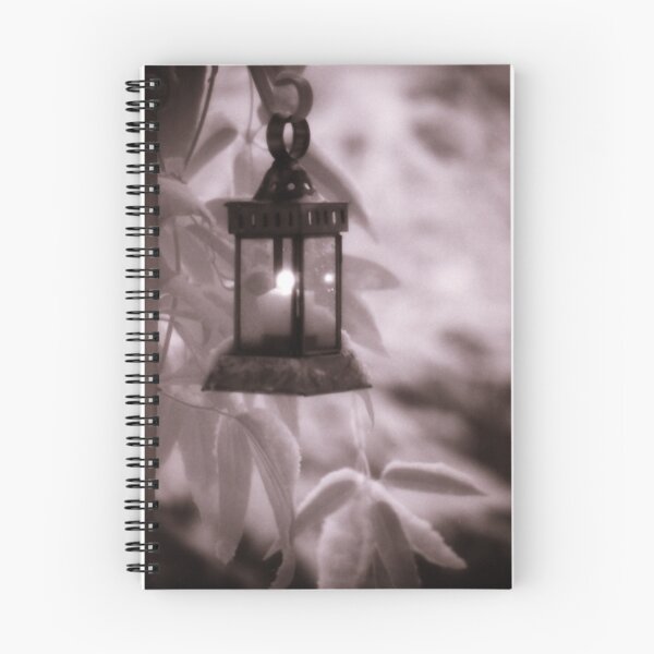 Item preview, Lantern in Snow designed and sold by Robin Nellist.