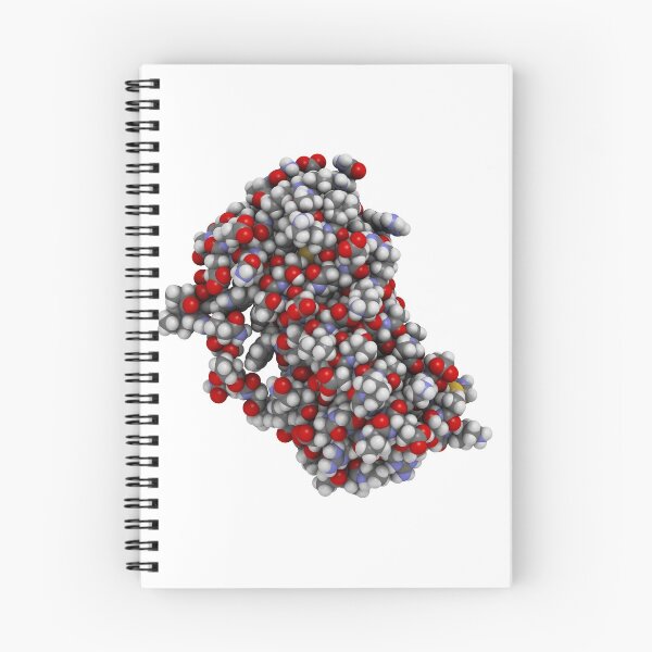 Item preview, Granulocyte colony-stimulating factor, GCSF designed and sold by molekuul.