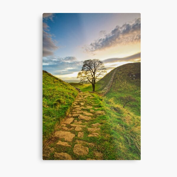 Sycamore Gap Metal Print