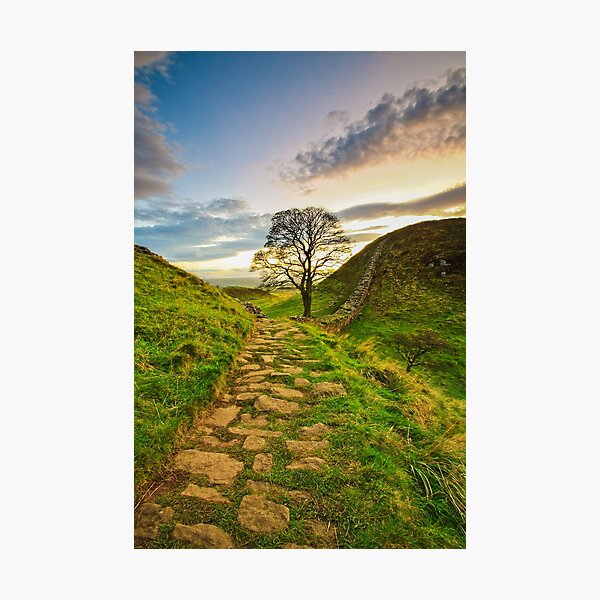 Item preview, Sycamore Gap designed and sold by Mark Hume.