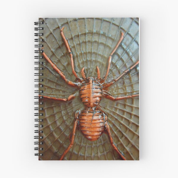Item preview, Charlottes Web designed and sold by Linda Miller Gesualdo.