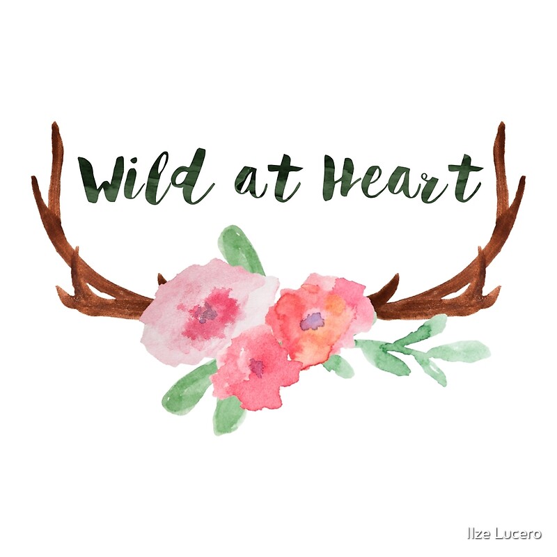 quotes wild at heart