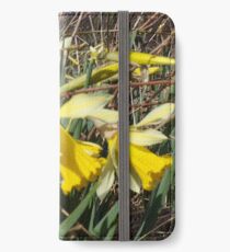 Field Of Daffies iPhone Wallet/Case/Skin