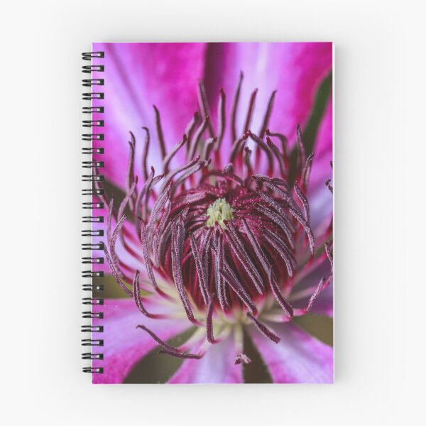 Item preview, Clematis designed and sold by Mark Hume.
