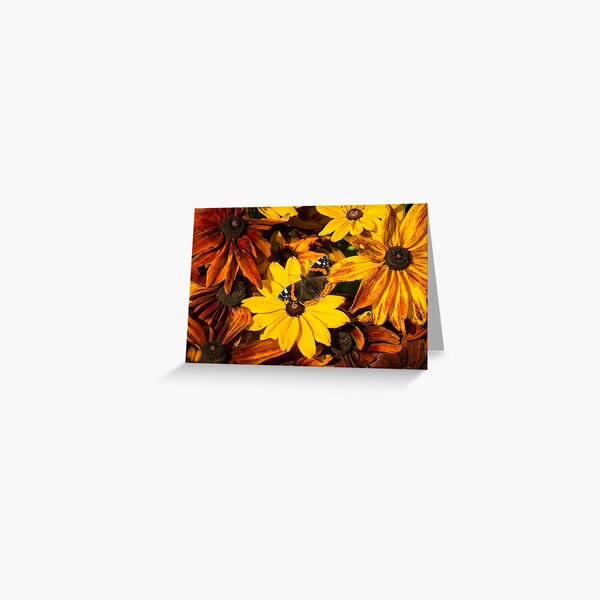 Butterfly Greeting Card