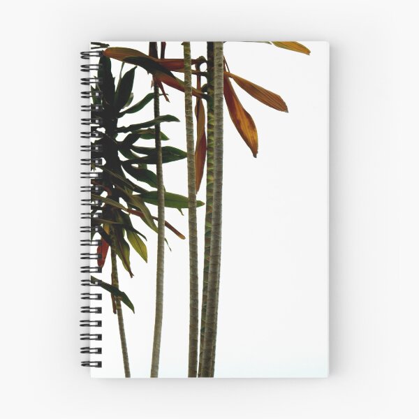 Item preview, African Tree designed and sold by Lindsey Van Nuil.