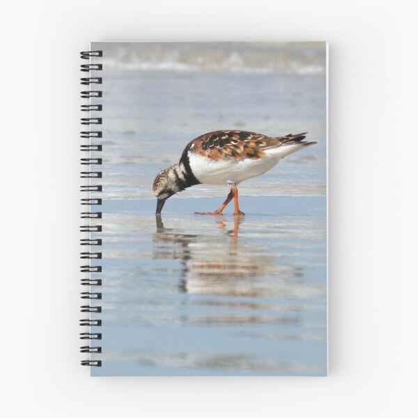 Item preview, Daytona Turnstone designed and sold by Gharial.