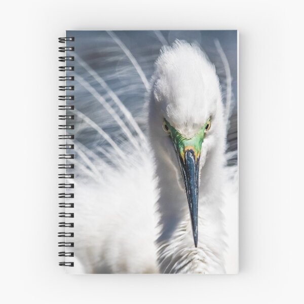 Item preview, Great egret in full breeding plumage designed and sold by Ozjanette90.
