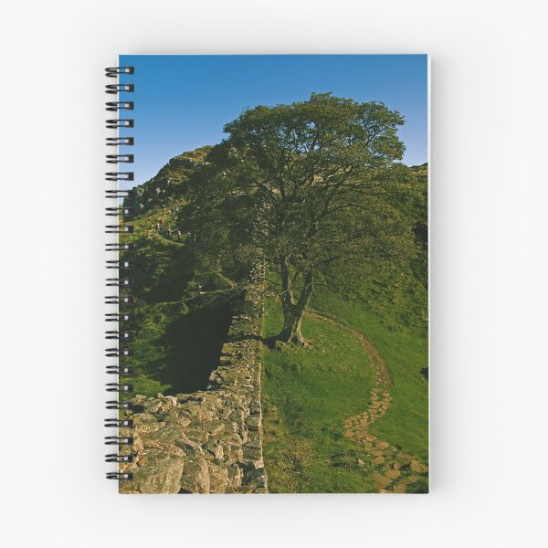 Item preview, Sycamore Gap designed and sold by KevM.